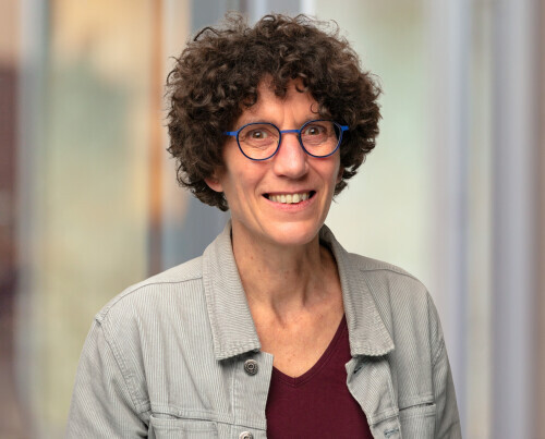 Niki Schipper