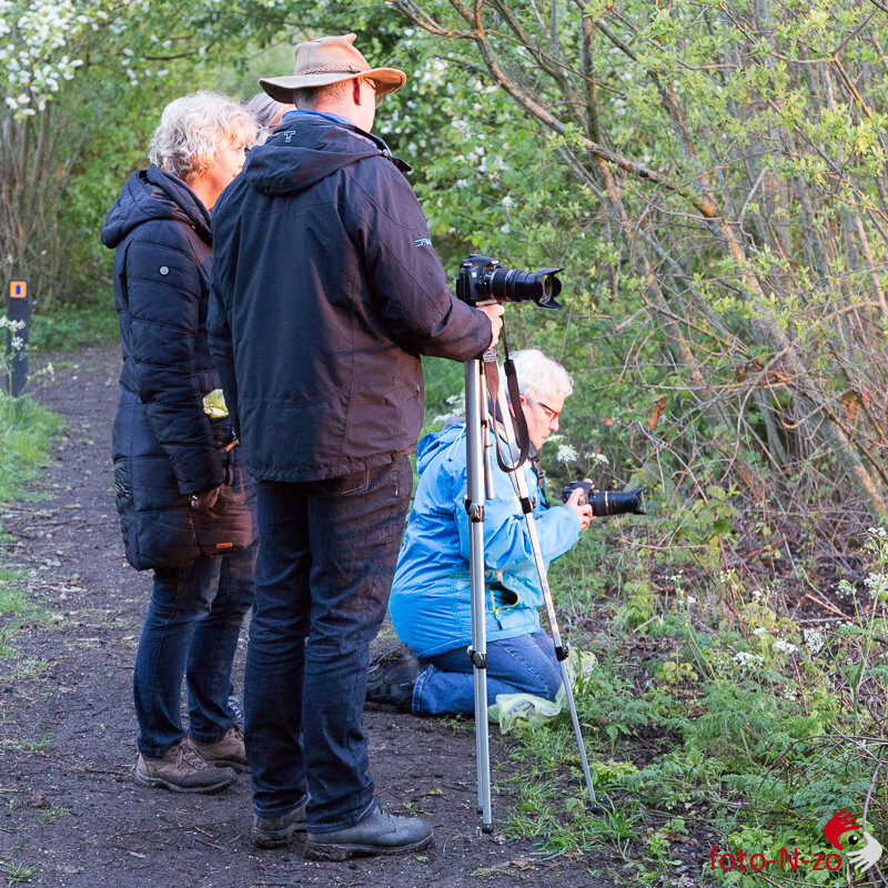 Cursus basis fotografie
